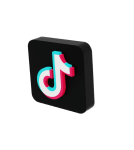 TikTok Logo