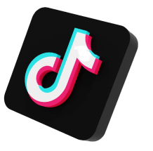 TikTok Logo